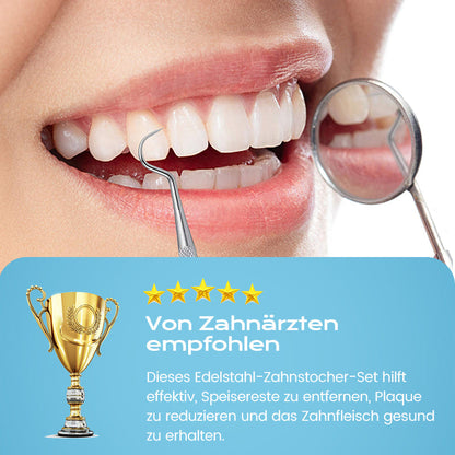 ⚡ Edelstahl Zahnstocher Set | Hygienisch & Langlebig 🦷✅