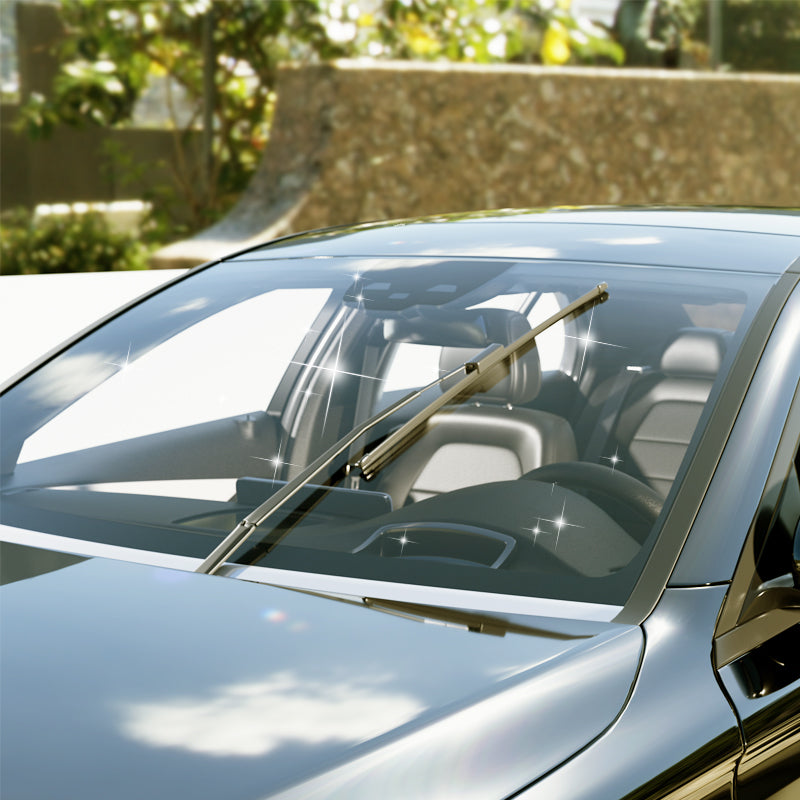 Heißer Verkauf 50% RABATT!! ⚡ Über 50.000 verkauft! 🔥🔥 2025 Handgerät zur Entfernung von Ölfilmen auf Glas