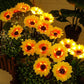 🌻 50% RABATT! ☀️ Solar-Sonnenblume – Realistisch, wetterfest & IP65 – Perfekte Außen-Dekoration für Garten & Balkon 🌿